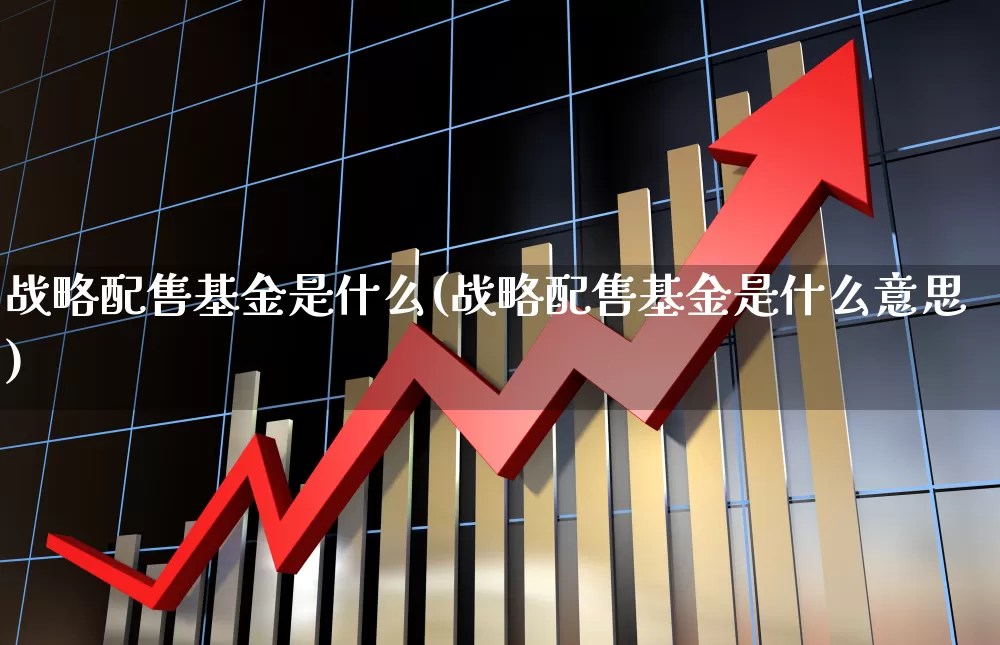 战略配售基金是什么(战略配售基金是什么意思)_https://www.hhem8.com_上交所_第1张
