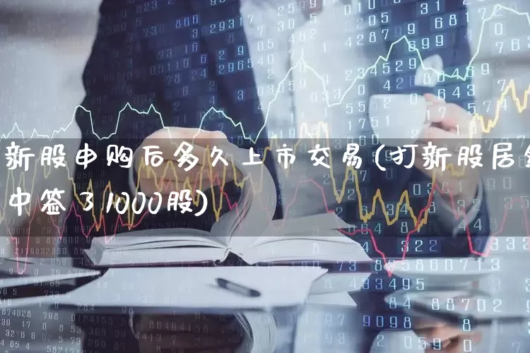 新股申购后多久上市交易(打新股居然中签了1000股)_https://www.hhem8.com_科创板_第1张