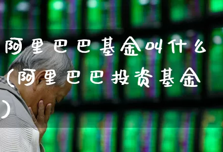 阿里巴巴基金叫什么(阿里巴巴投资基金)_https://www.hhem8.com_上交所_第1张