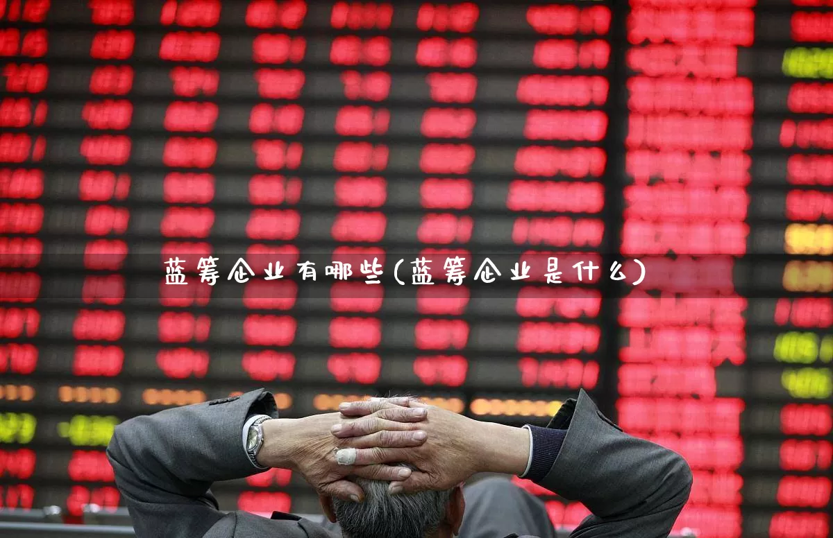 蓝筹企业有哪些(蓝筹企业是什么)_https://www.hhem8.com_北交所_第1张