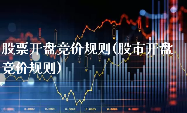 股票开盘竞价规则(股市开盘竞价规则)_https://www.hhem8.com_创业板_第1张