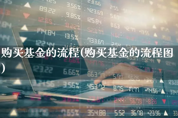 购买基金的流程(购买基金的流程图)_https://www.hhem8.com_科创板_第1张