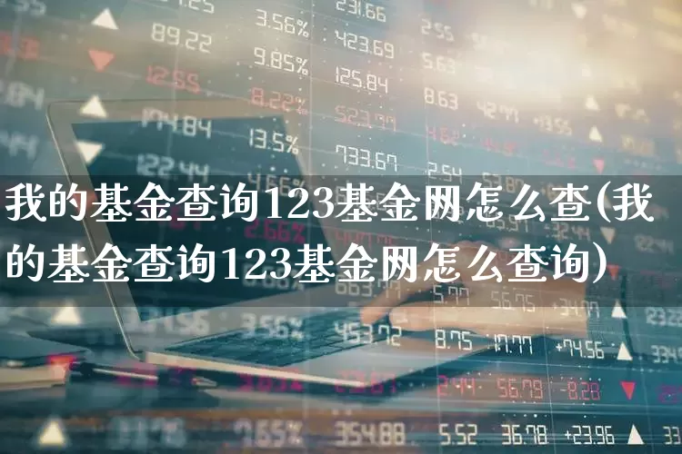 我的基金查询123基金网怎么查(我的基金查询123基金网怎么查询)_https://www.hhem8.com_科创板_第1张