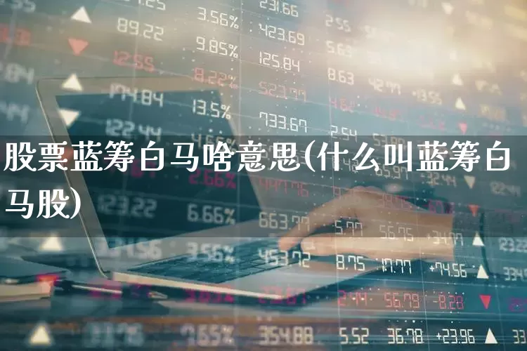股票蓝筹白马啥意思(什么叫蓝筹白马股)_https://www.hhem8.com_创业板_第1张