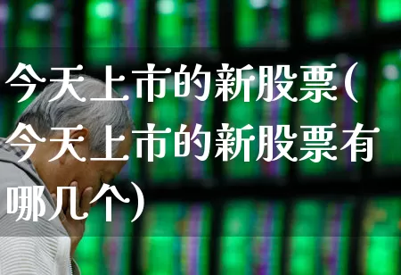 今天上市的新股票(今天上市的新股票有哪几个)_https://www.hhem8.com_深交所_第1张