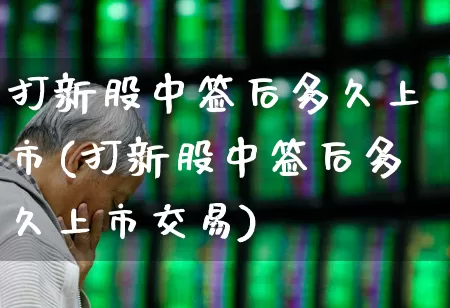 打新股中签后多久上市(打新股中签后多久上市交易)_https://www.hhem8.com_科创板_第1张