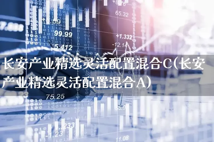 长安产业精选灵活配置混合C(长安产业精选灵活配置混合A)_https://www.hhem8.com_深交所_第1张