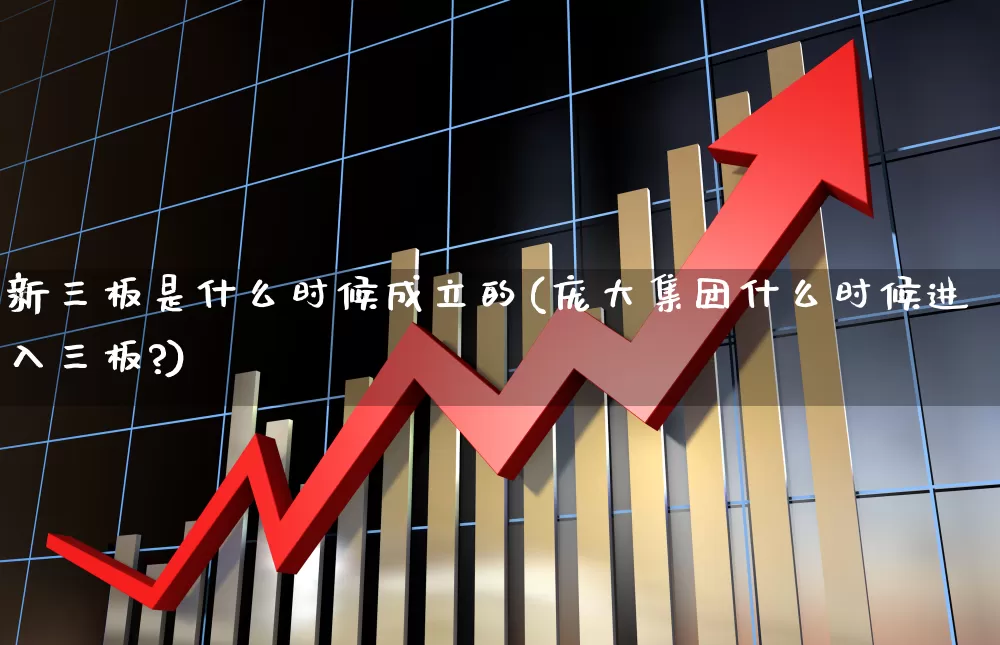 新三板是什么时候成立的(庞大集团什么时候进入三板?)_https://www.hhem8.com_科创板_第1张
