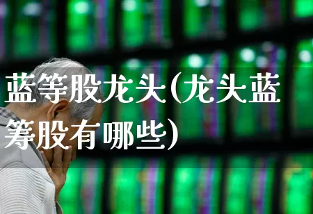 蓝等股龙头(龙头蓝筹股有哪些)_https://www.hhem8.com_深交所_第1张