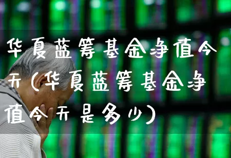 华夏蓝筹基金净值今天(华夏蓝筹基金净值今天是多少)_https://www.hhem8.com_创业板_第1张