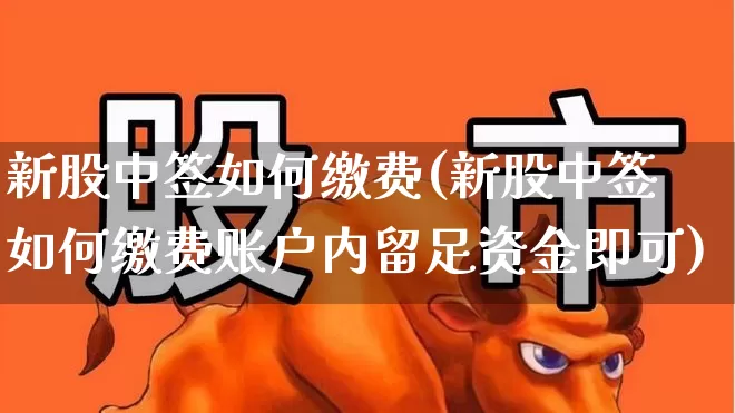 新股中签如何缴费(新股中签如何缴费账户内留足资金即可)_https://www.hhem8.com_深交所_第1张
