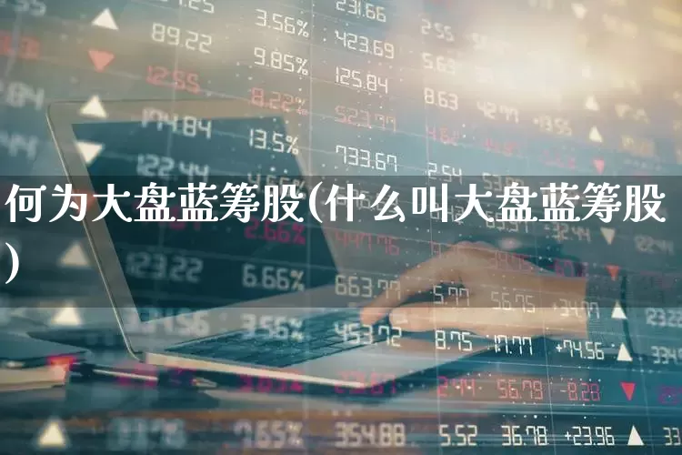 何为大盘蓝筹股(什么叫大盘蓝筹股)_https://www.hhem8.com_北交所_第1张
