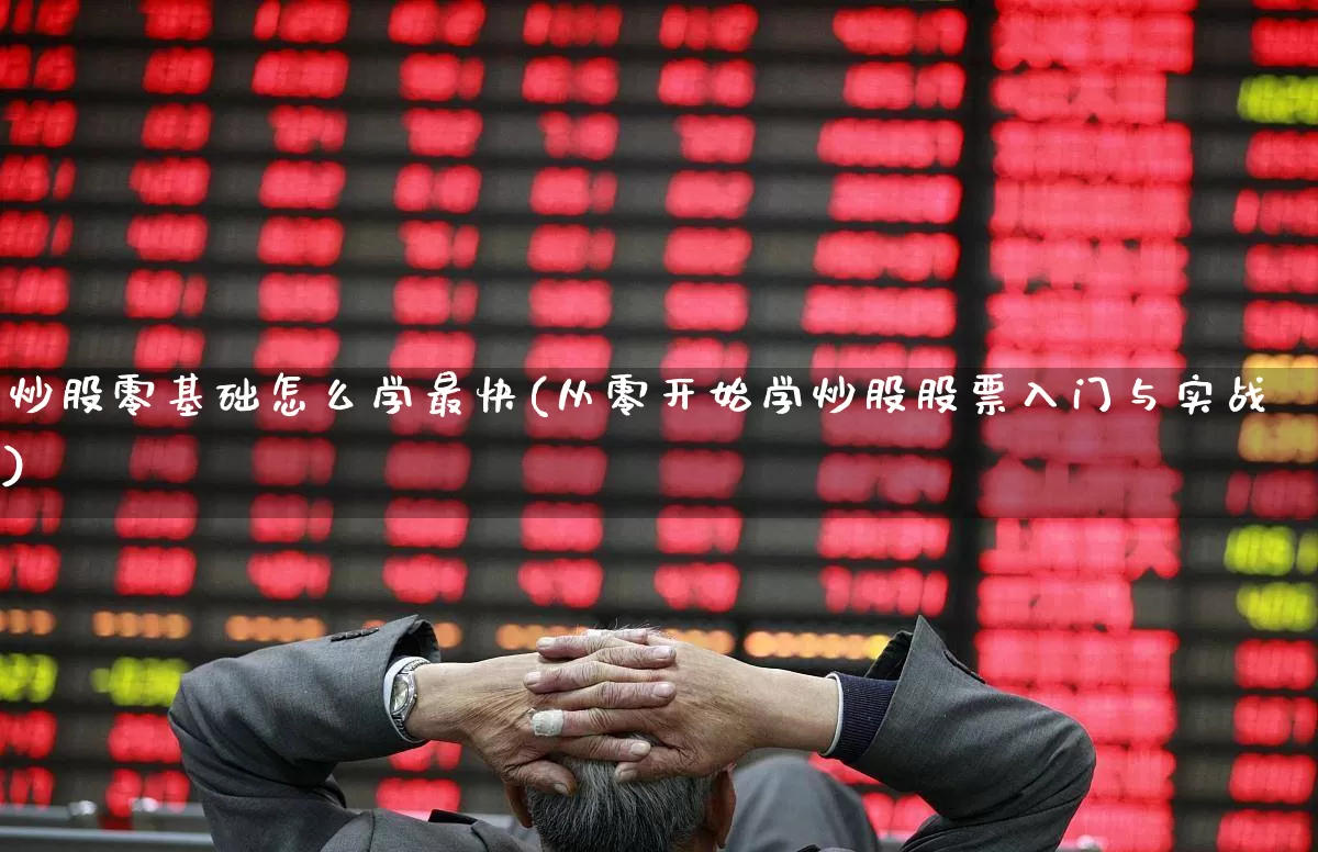 炒股零基础怎么学最快(从零开始学炒股股票入门与实战)_https://www.hhem8.com_科创板_第1张