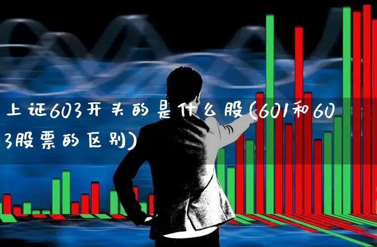 上证603开头的是什么股(601和603股票的区别)_https://www.hhem8.com_上交所_第1张