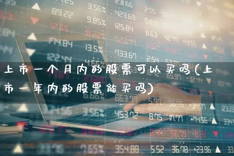 上市一个月内的股票可以买吗(上市一年内的股票能买吗)_https://www.hhem8.com_创业板_第1张