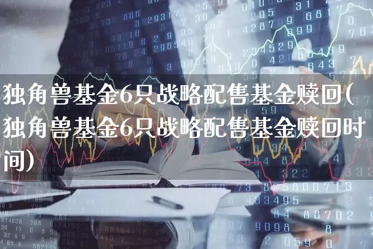 独角兽基金6只战略配售基金赎回(独角兽基金6只战略配售基金赎回时间)_https://www.hhem8.com_深交所_第1张