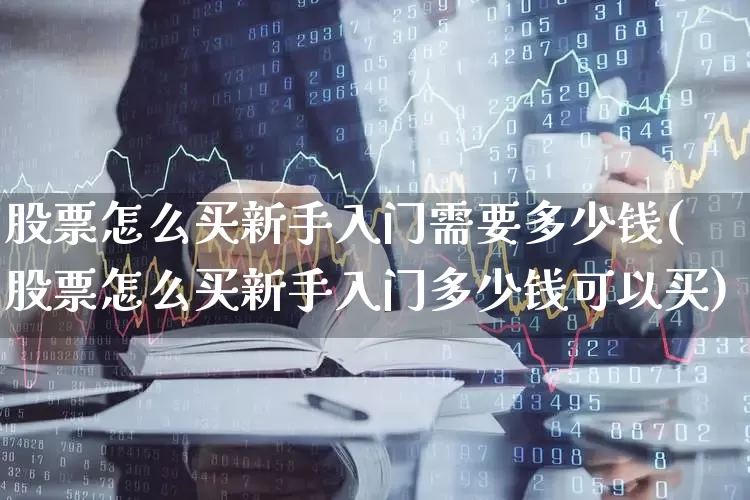 股票怎么买新手入门需要多少钱(股票怎么买新手入门多少钱可以买)_https://www.hhem8.com_上交所_第1张