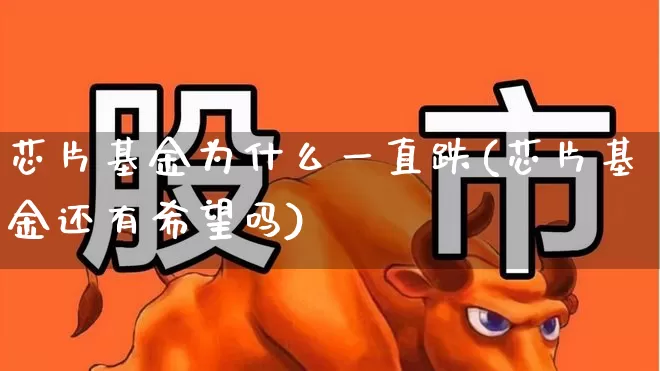 芯片基金为什么一直跌(芯片基金还有希望吗)_https://www.hhem8.com_北交所_第1张