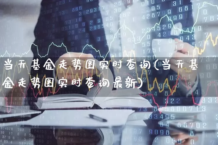 当天基金走势图实时查询(当天基金走势图实时查询最新)_https://www.hhem8.com_创业板_第1张