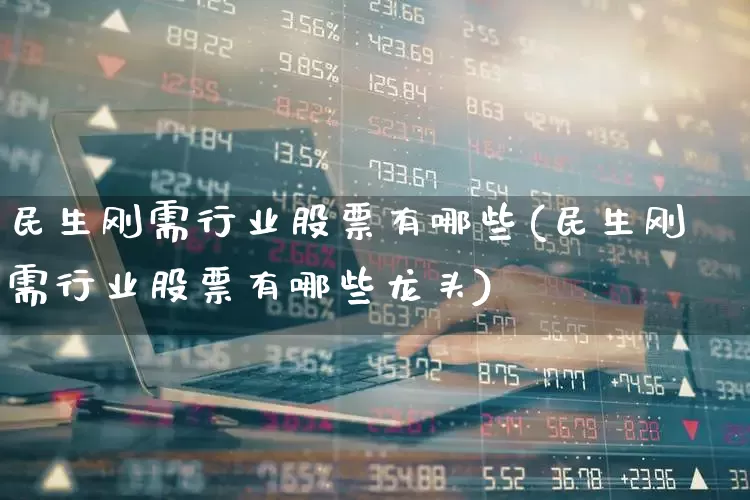 民生刚需行业股票有哪些(民生刚需行业股票有哪些龙头)_https://www.hhem8.com_科创板_第1张