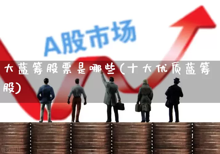 大蓝筹股票是哪些(十大优质蓝筹股)_https://www.hhem8.com_深交所_第1张