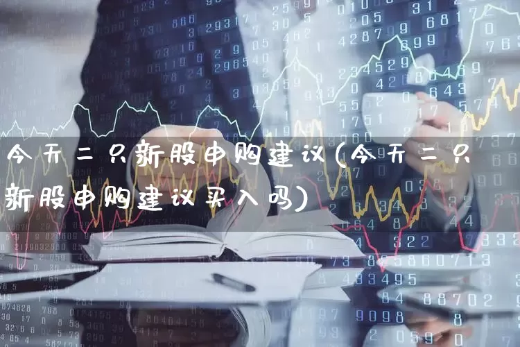 今天二只新股申购建议(今天二只新股申购建议买入吗)_https://www.hhem8.com_上交所_第1张