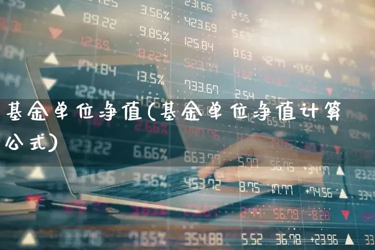 基金单位净值(基金单位净值计算公式)_https://www.hhem8.com_深交所_第1张