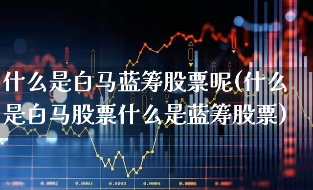 什么是白马蓝筹股票呢(什么是白马股票什么是蓝筹股票)_https://www.hhem8.com_上交所_第1张