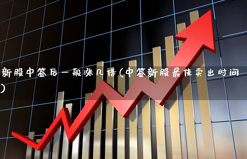 新股中签后一般涨几倍(中签新股最佳卖出时间)_https://www.hhem8.com_深交所_第1张