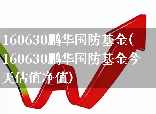 160630鹏华国防基金(160630鹏华国防基金今天估值净值)_https://www.hhem8.com_科创板_第1张