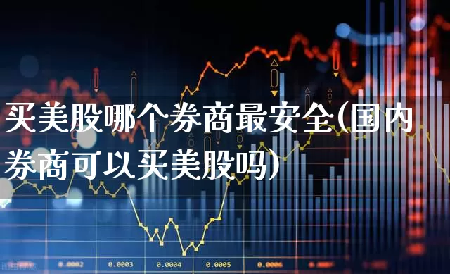 买美股哪个券商最安全(国内券商可以买美股吗)_https://www.hhem8.com_深交所_第1张