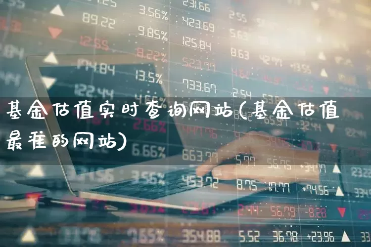 基金估值实时查询网站(基金估值最准的网站)_https://www.hhem8.com_上交所_第1张