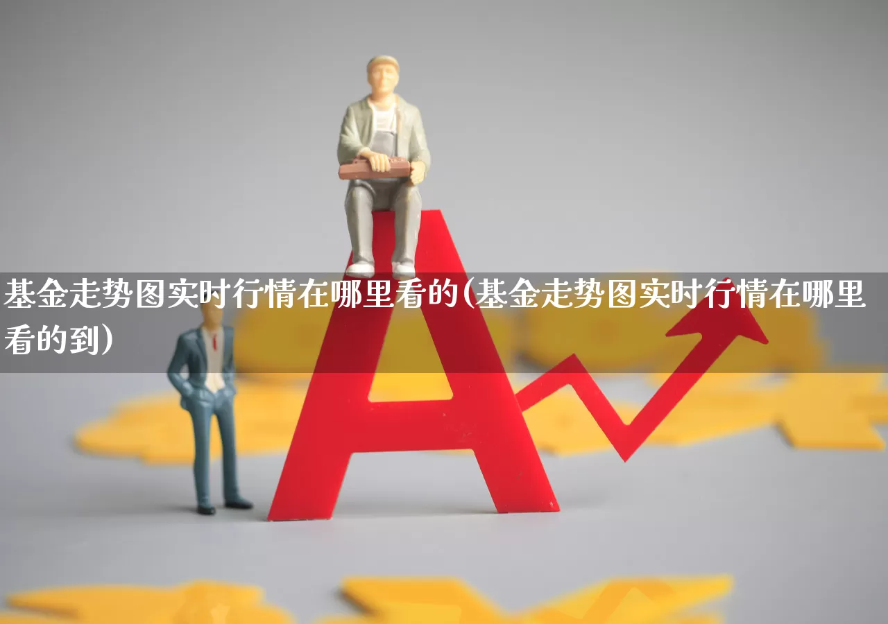 基金走势图实时行情在哪里看的(基金走势图实时行情在哪里看的到)_https://www.hhem8.com_科创板_第1张