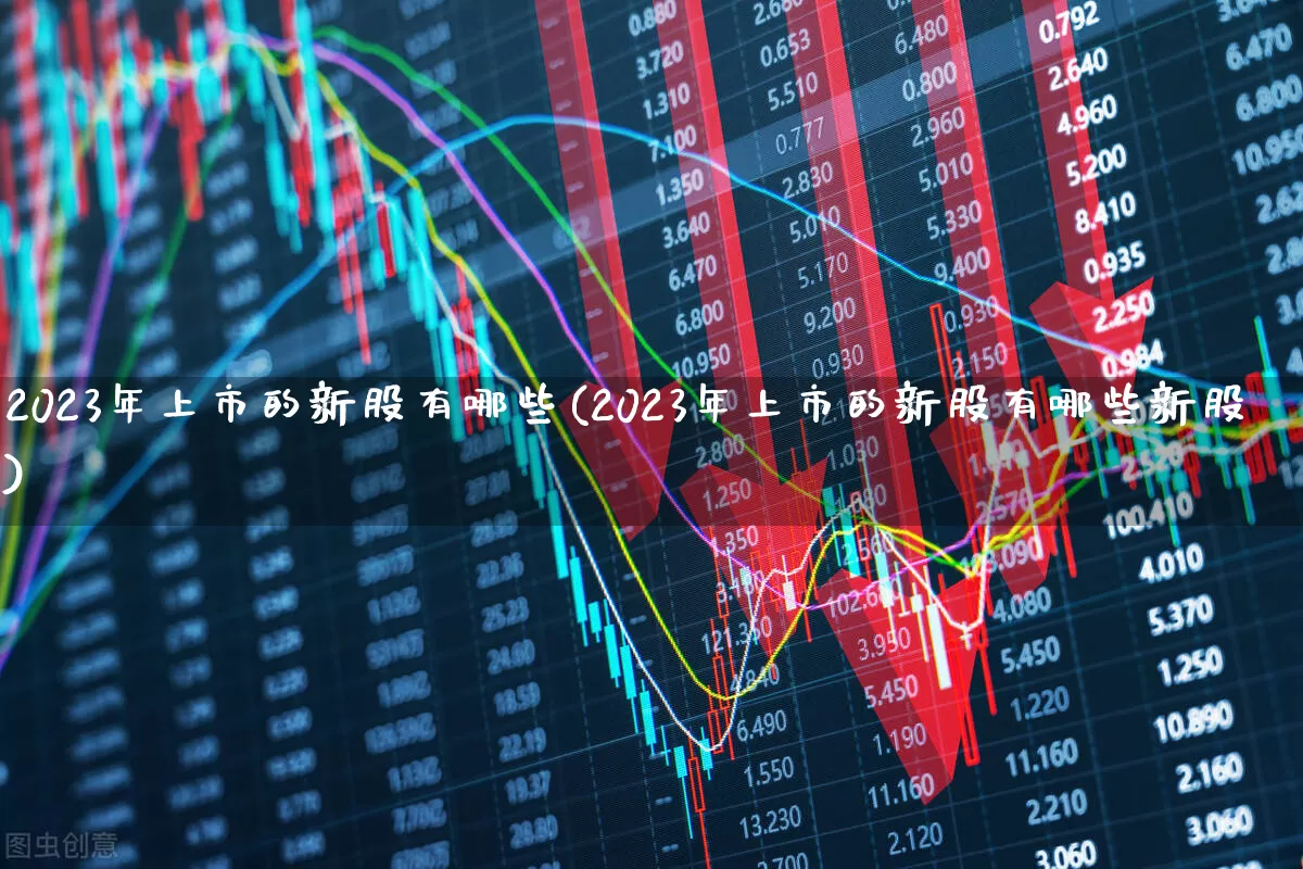 2023年上市的新股有哪些(2023年上市的新股有哪些新股)_https://www.hhem8.com_上交所_第1张