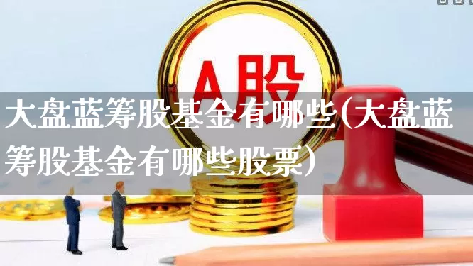大盘蓝筹股基金有哪些(大盘蓝筹股基金有哪些股票)_https://www.hhem8.com_深交所_第1张