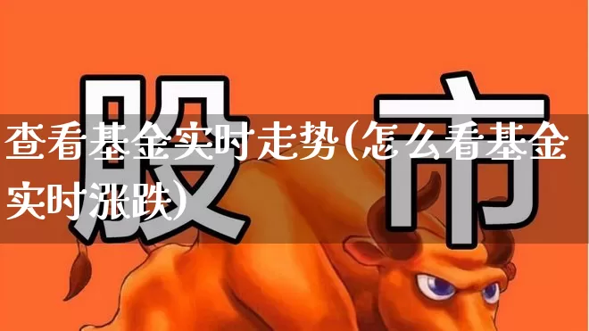查看基金实时走势(怎么看基金实时涨跌)_https://www.hhem8.com_创业板_第1张