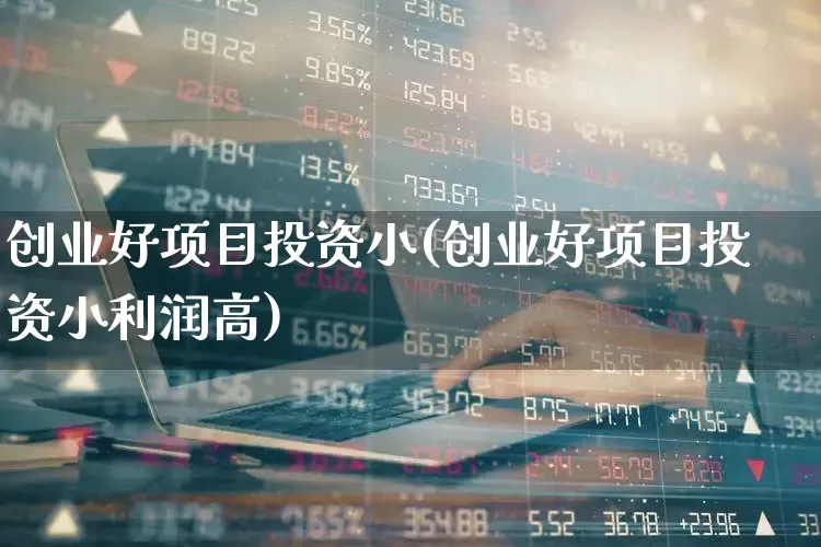 创业好项目投资小(创业好项目投资小利润高)_https://www.hhem8.com_深交所_第1张