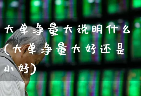 大单净量大说明什么(大单净量大好还是小好)_https://www.hhem8.com_科创板_第1张