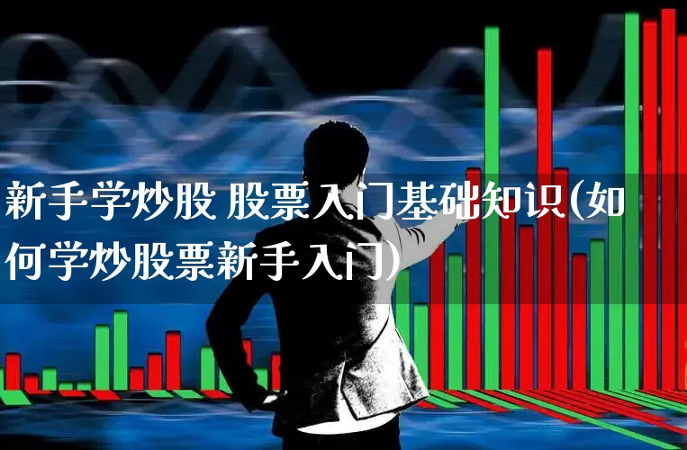 新手学炒股 股票入门基础知识(如何学炒股票新手入门)_https://www.hhem8.com_创业板_第1张