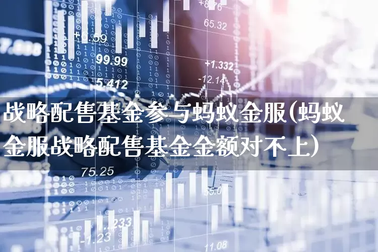战略配售基金参与蚂蚁金服(蚂蚁金服战略配售基金金额对不上)_https://www.hhem8.com_深交所_第1张