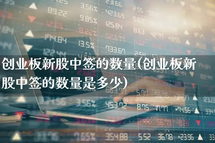 创业板新股中签的数量(创业板新股中签的数量是多少)_https://www.hhem8.com_北交所_第1张