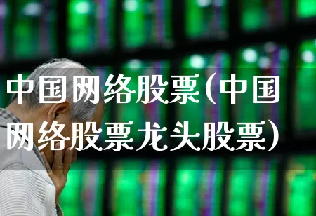 中国网络股票(中国网络股票龙头股票)_https://www.hhem8.com_科创板_第1张