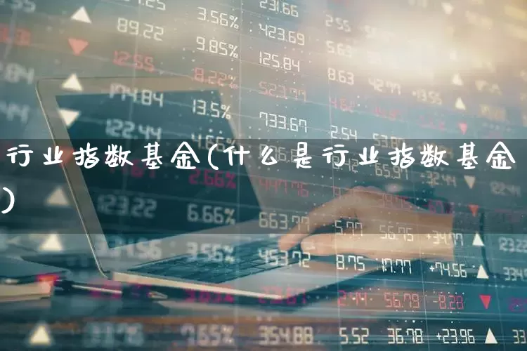 行业指数基金(什么是行业指数基金)_https://www.hhem8.com_上交所_第1张