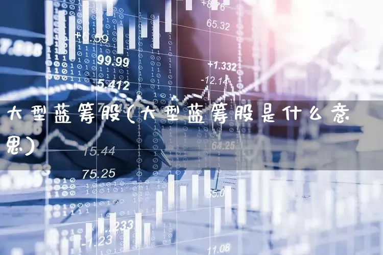 大型蓝筹股(大型蓝筹股是什么意思)_https://www.hhem8.com_深交所_第1张