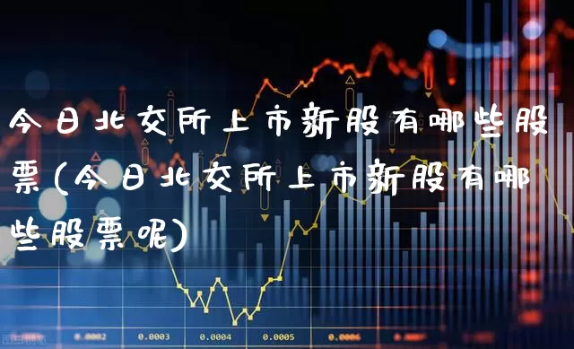 今日北交所上市新股有哪些股票(今日北交所上市新股有哪些股票呢)_https://www.hhem8.com_科创板_第1张