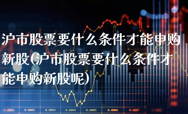 沪市股票要什么条件才能申购新股(沪市股票要什么条件才能申购新股呢)_https://www.hhem8.com_北交所_第1张