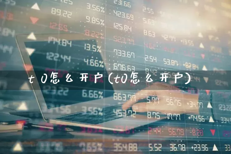 t 0怎么开户(t0怎么开户)_https://www.hhem8.com_北交所_第1张