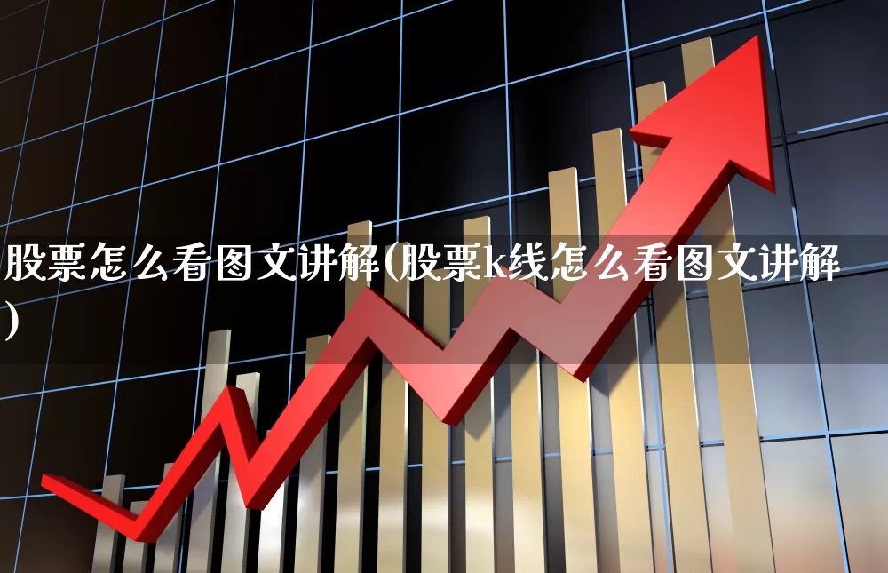 股票怎么看图文讲解(股票k线怎么看图文讲解)_https://www.hhem8.com_北交所_第1张