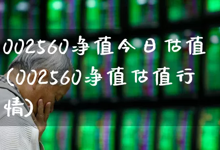 002560净值今日估值(002560净值估值行情)_https://www.hhem8.com_创业板_第1张
