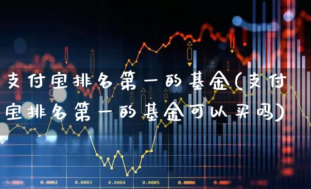 支付宝排名第一的基金(支付宝排名第一的基金可以买吗)_https://www.hhem8.com_上交所_第1张